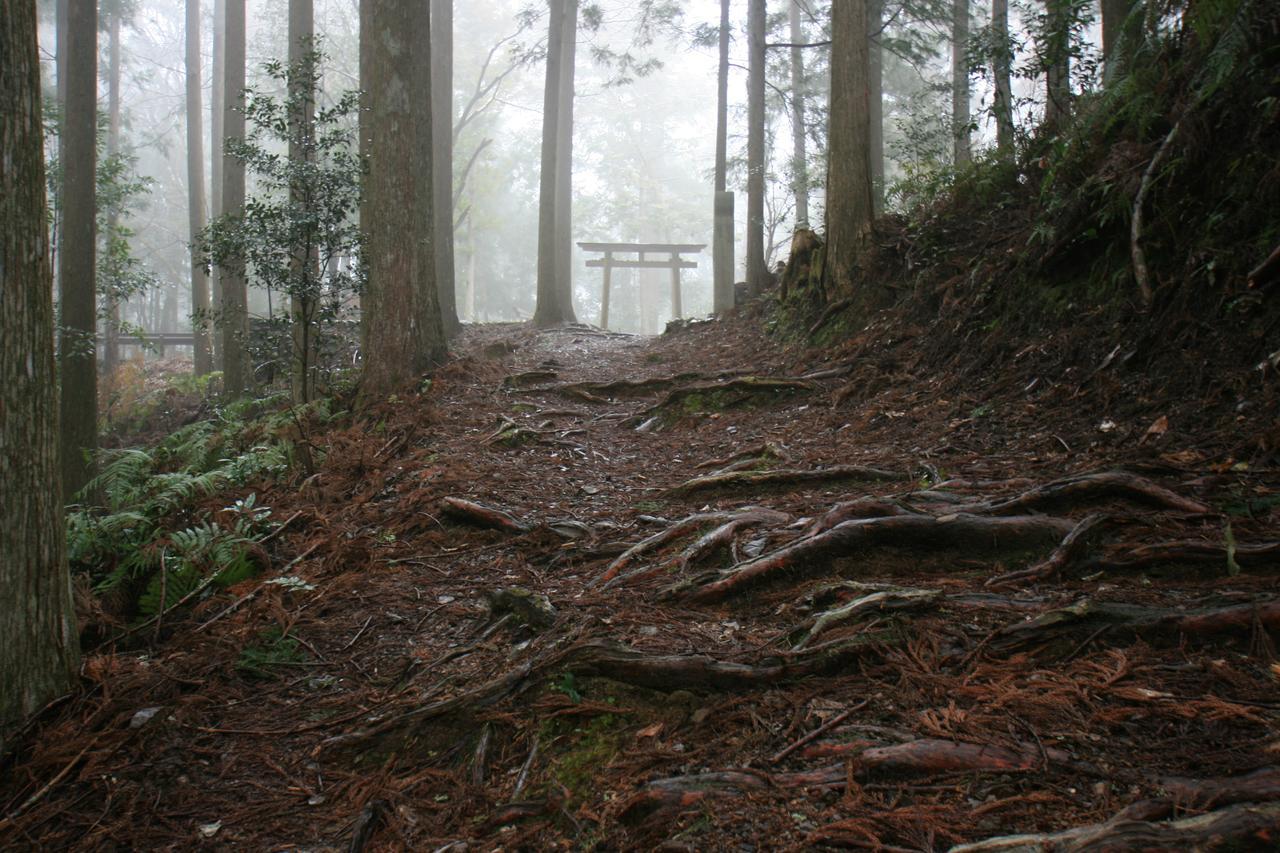 Watarase Onsen Hotel Yamayuri Хонгу Экстерьер фото